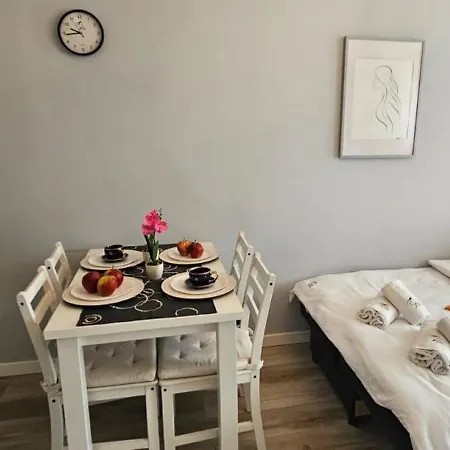 Apartment Dworska 33